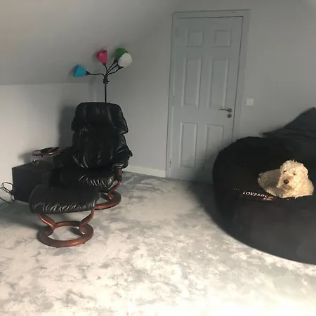 The Stone *